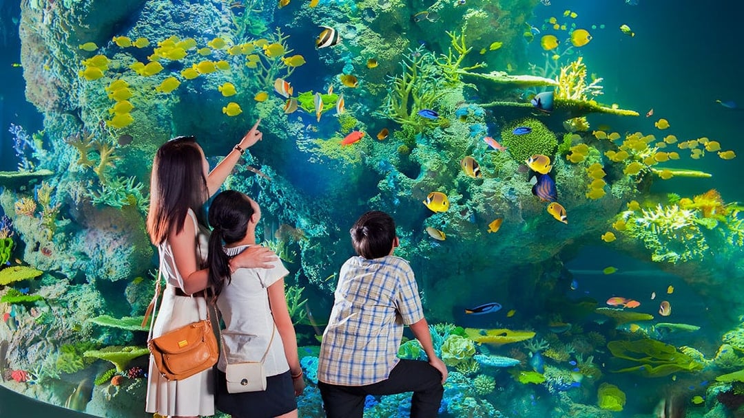 Singapore Oceanarium Tickets