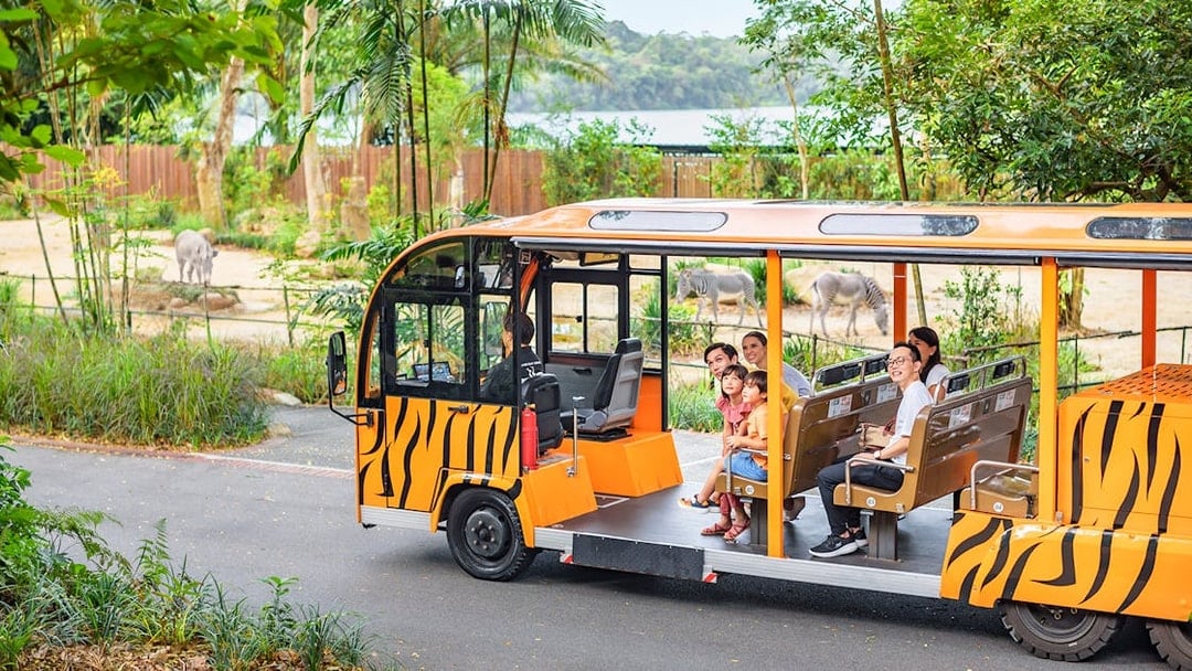 Open-air tram with passengers touring a zoo, zebras and elephant visible in the background.