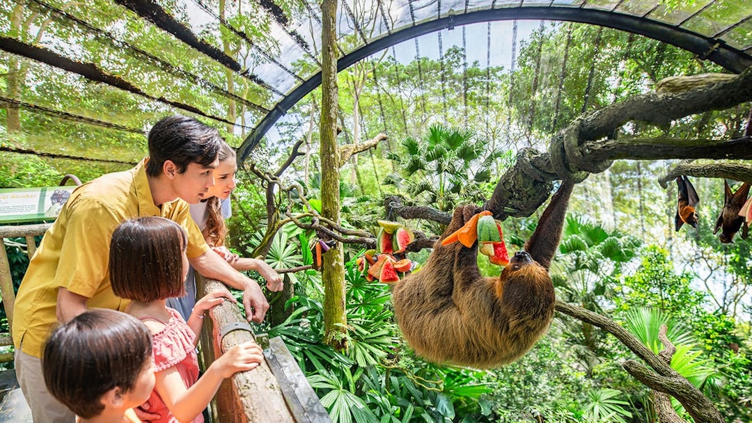 Family observing a sloth eating fruit at Singapore Zoo.