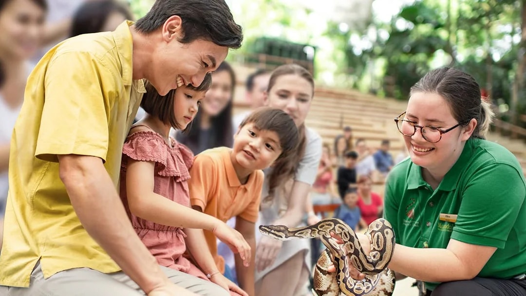Family interacting with a snake at Singapore Zoo show.