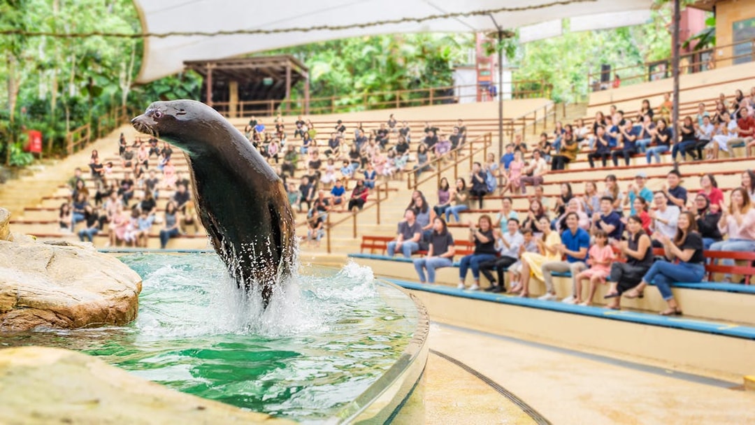 Sea lion performing at Singapore Zoo with audience watching.