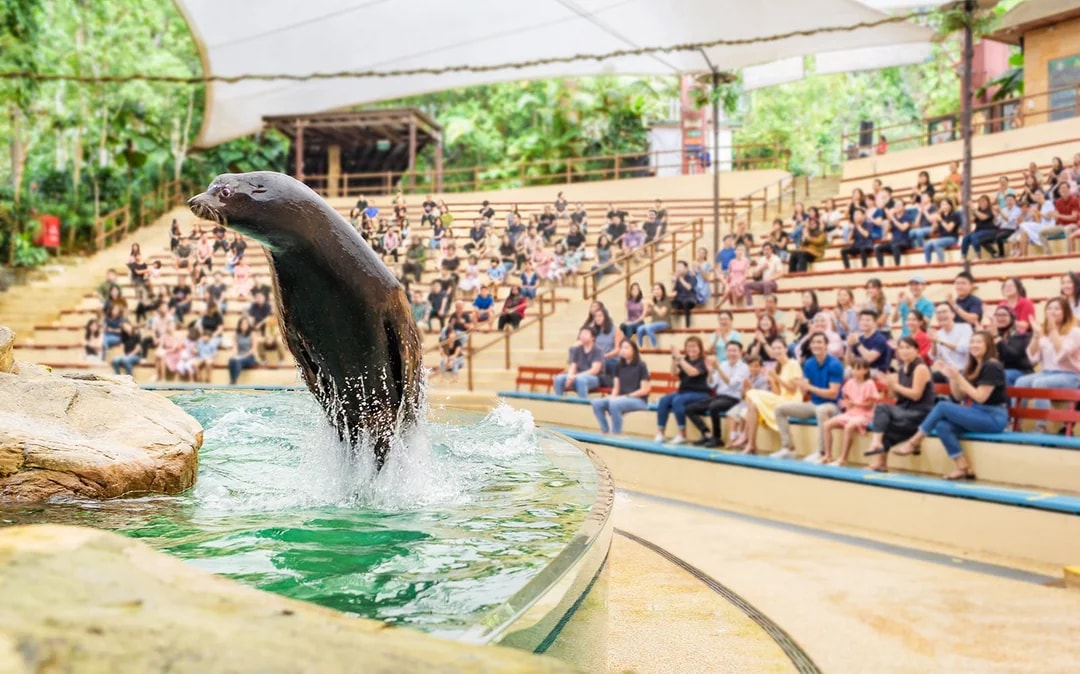 Singapore Zoo Tickets | Mandai Wildlife Reserve Image 11