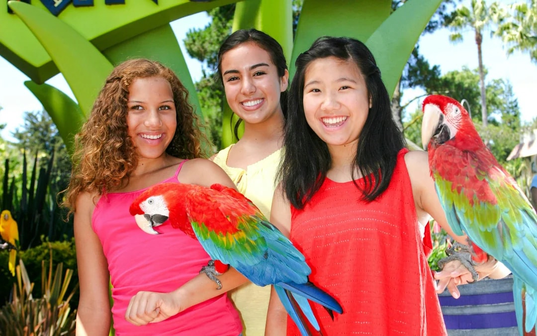 Six Flags Discovery Kingdom One Day Ticket Image 2