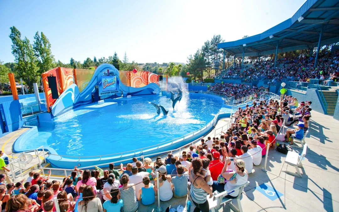 Six Flags Discovery Kingdom One Day Ticket Image 4