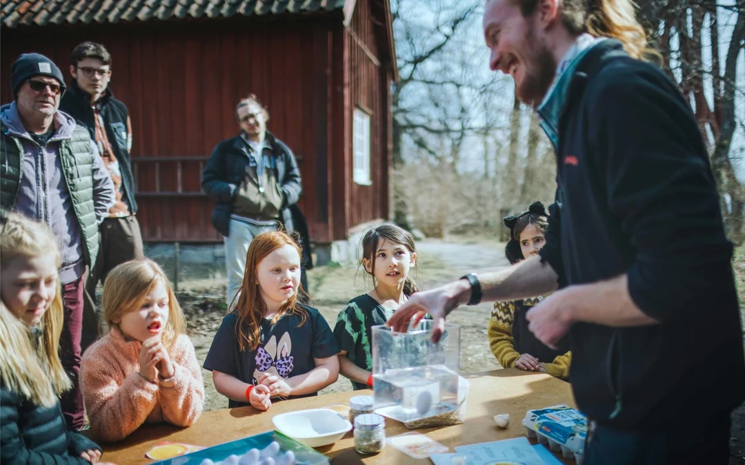 Skansen Open-Air Museum Entry Ticket Image 9