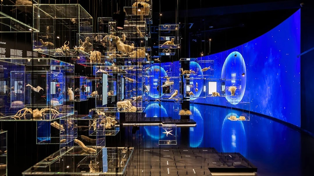 Glass displays with marine life exhibits at Torre Glories Lookout, Barcelona.
