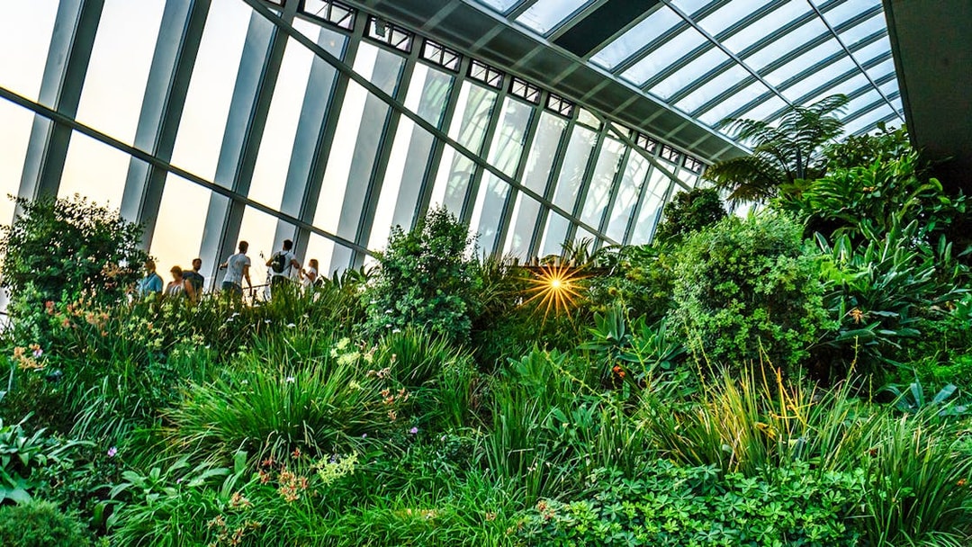 Sky Garden interior with lush greenery and visitors at 20 Fenchurch Street, London.