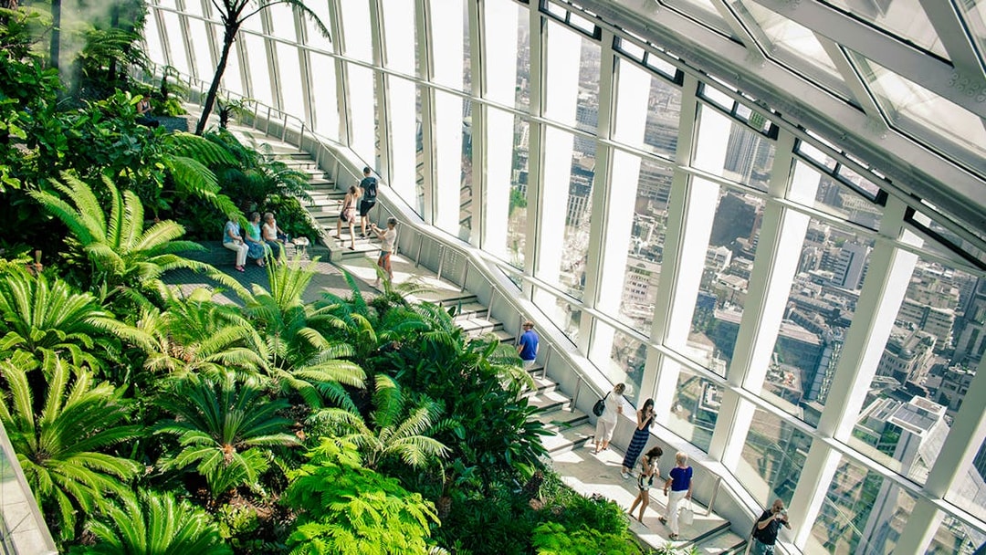 Visitors exploring lush greenery inside Sky Garden, London with city views.