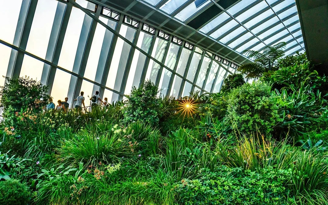 Sky Garden Early Access Tickets with Coffee & Croissant Image 11