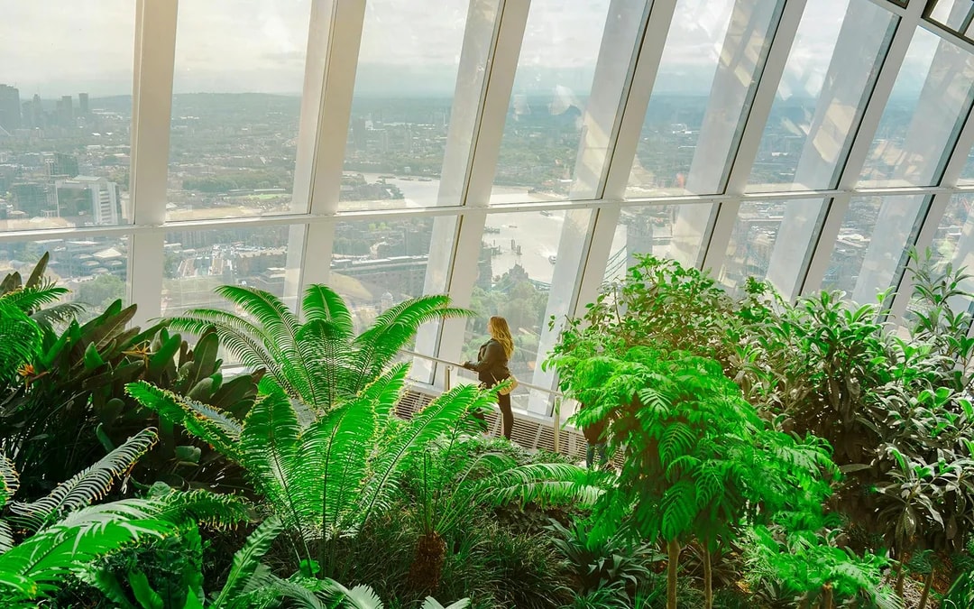 Sky Garden Entry Ticket with 2-Course Dinner at The Larch Image 6