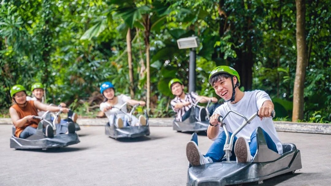 People enjoying a luge ride at Skyline Luge Singapore, surrounded by lush greenery.