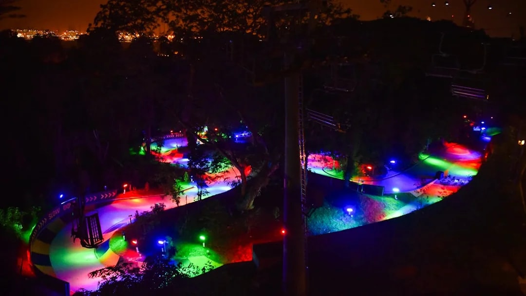 Colorful night view of Skyline Luge track in Singapore with vibrant lights.