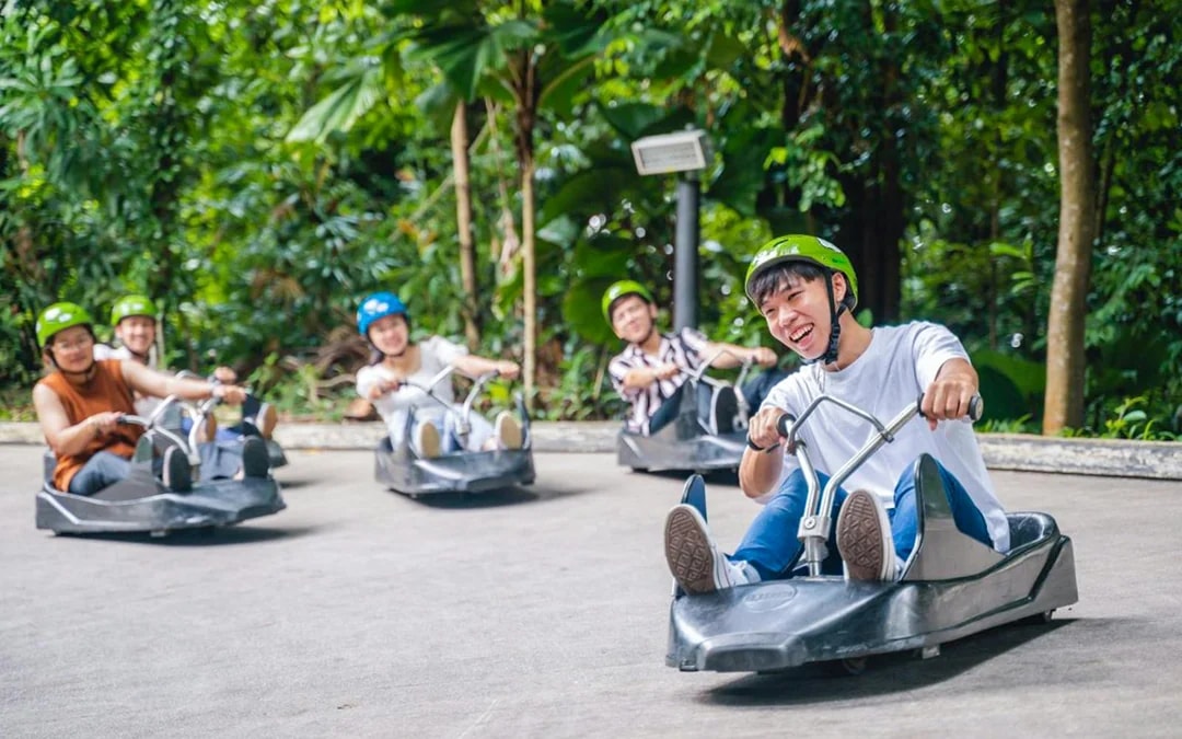 Skyline Luge & Skyride Singapore Tickets
Image 1
