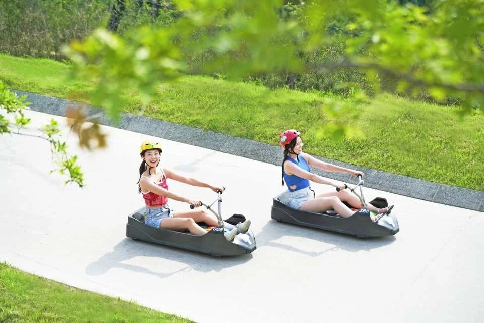 Skyline Luge Ticket | Busan