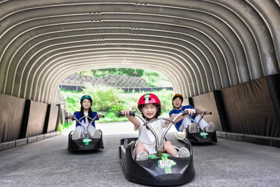 Skyline Luge Tongyeong Ticket