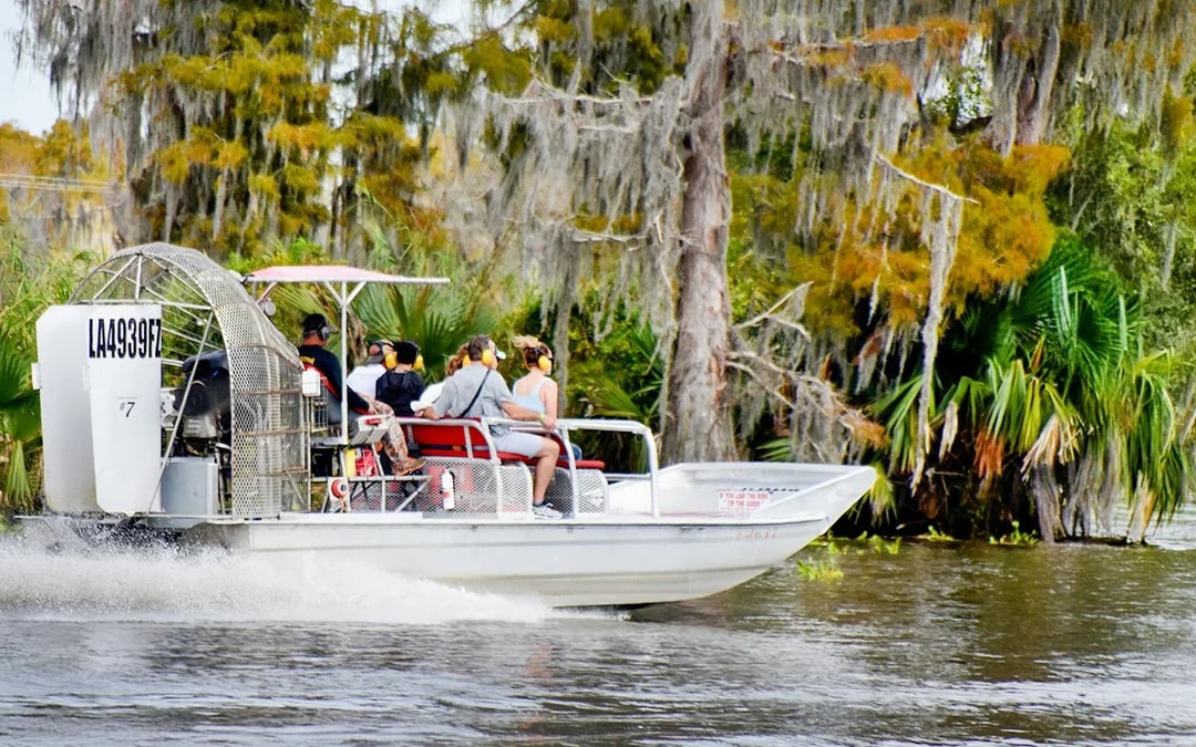 New Orleans: Small Airboat Swamp Tour Image 8