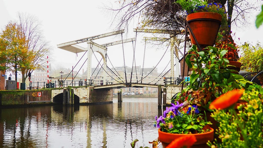 Suskind Bridge over canal in Amsterdam with colorful flowers in foreground.