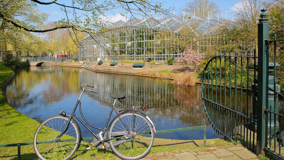 Bicycle by canal with reflections of Hortus Botanicus glasshouses, Amsterdam.