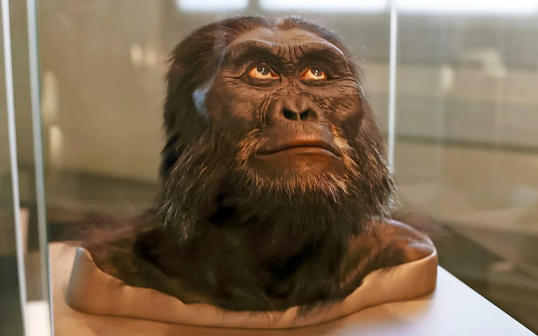 Smithsonian National Museum of Natural History Tours Image 6