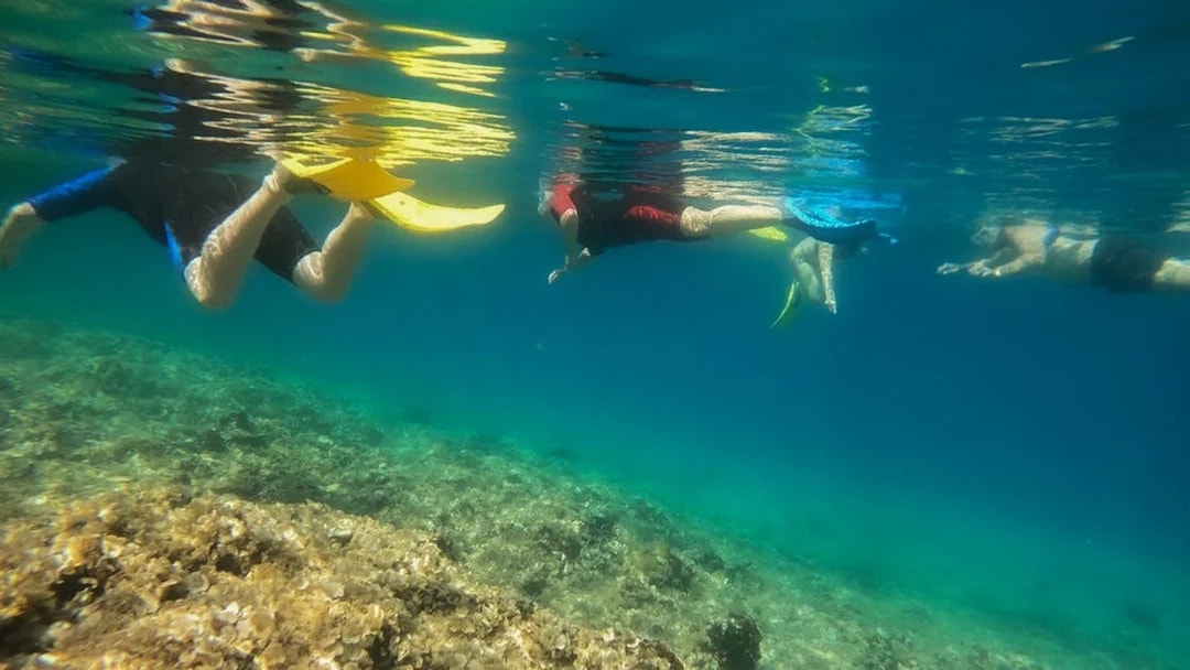 Snorkelers exploring underwater near Nea Makri, Athens.