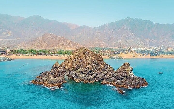 Snorkeling Experience with Turtles in Fujairah Coral Reefs with Equipment and Refreshments Image 2