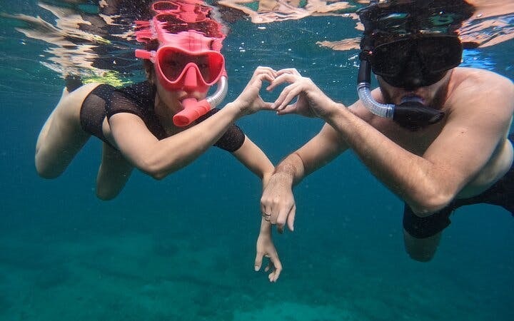 Snorkeling Experience with Turtles in Fujairah Coral Reefs with Equipment and Refreshments Image 7