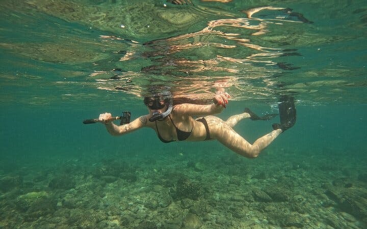 Snorkeling Experience with Turtles in Fujairah Coral Reefs with Equipment and Refreshments Image 8