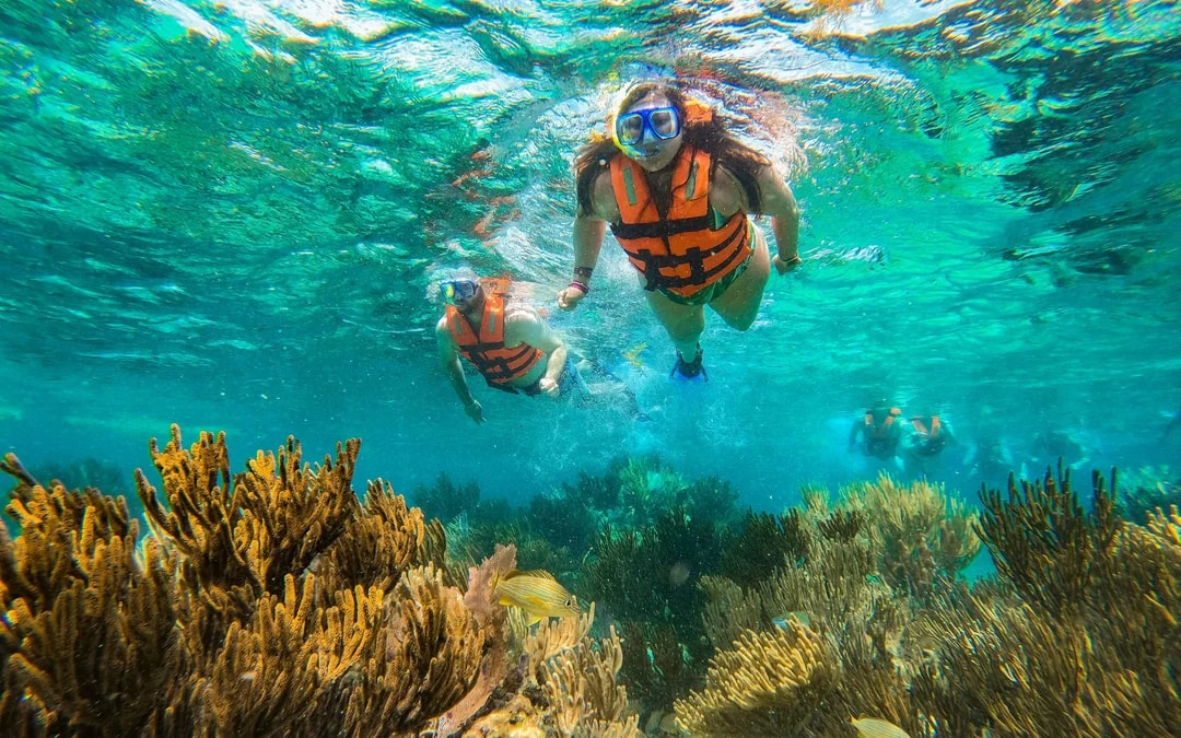 Snorkeling in National Reef Park with Beachside Lunch Image 3