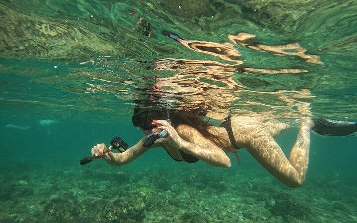 Snorkeling Trip with Turtles in Fujairah Including Hotel Pickup from Dubai and Sightseeing Return Image 9