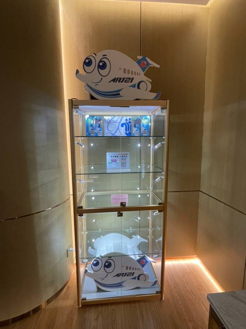 South Airlines V5 Pearl Gold and Silver Card VIP Lounge (T1 Domestic) Lukou International Airport