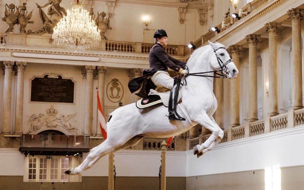 Spanish Riding School Performance Show (45 min) Image 1