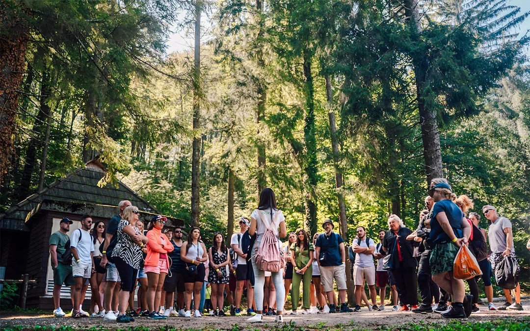 From Split: Full-Day Trip to Plitvice Lakes National Park Image 6