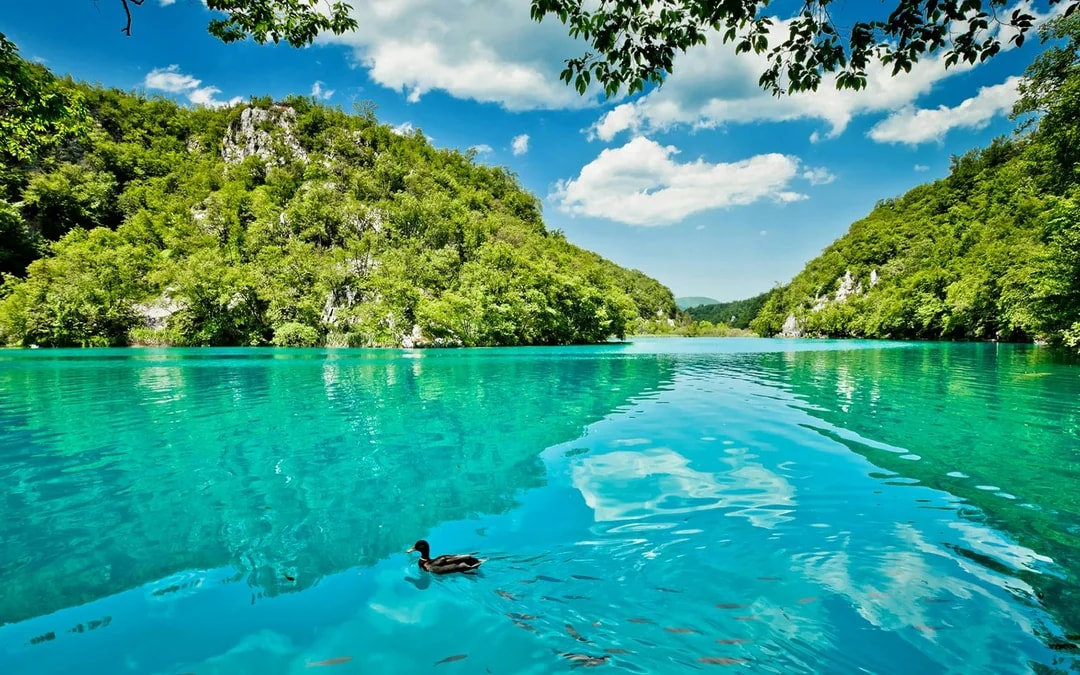 From Split: Full-Day Trip to Plitvice Lakes National Park Image 7