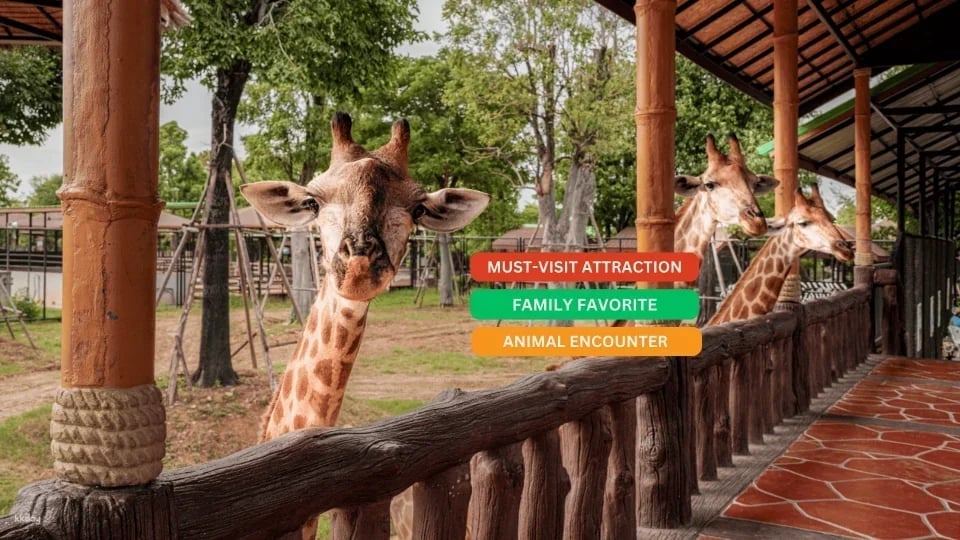 Sriayuthaya Lion Park Admission Ticket - Thailand
