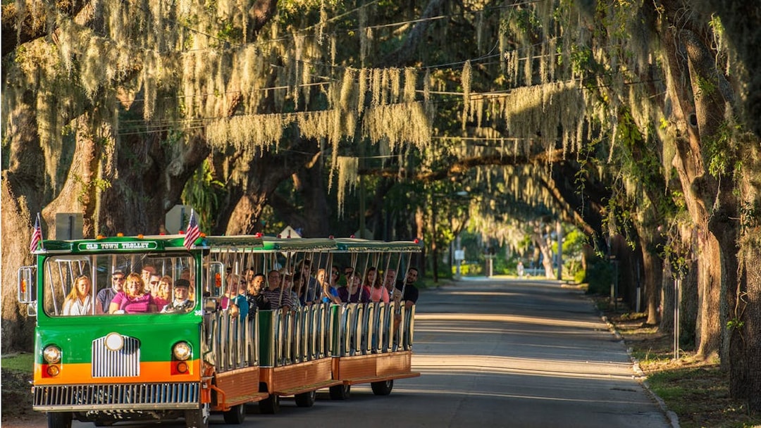 St. Augustine Old Town Trolley under oak trees with Spanish moss.