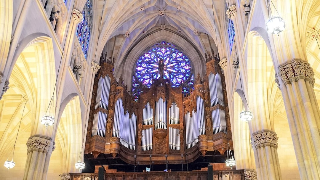 St. Patrick's Cathedral interior with ornate organ and stained glass window.