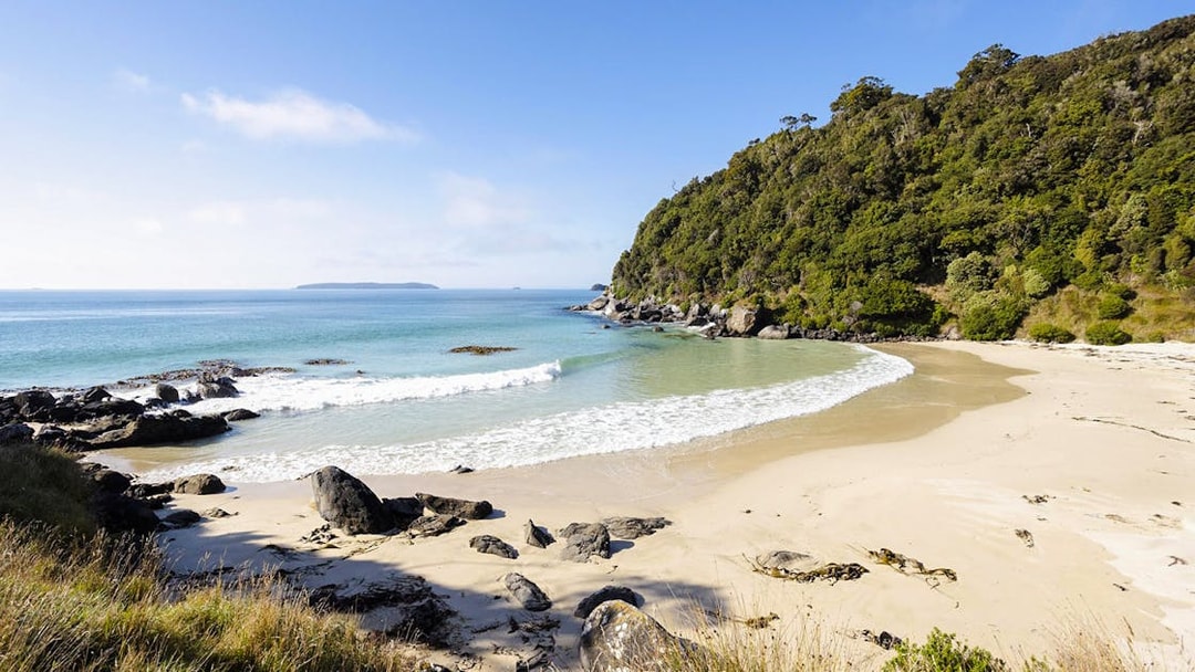 Stewart Island beach with lush greenery and rocky shoreline.