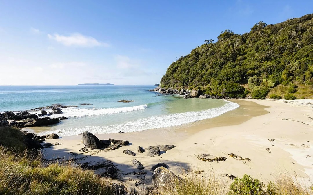 Stewart Island Guided Wilderness Walk Image 3
