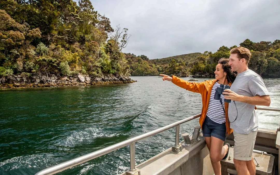 From Stewart Island: Ulva Island Explorer Tour with Paterson Inlet Cruise Image 7