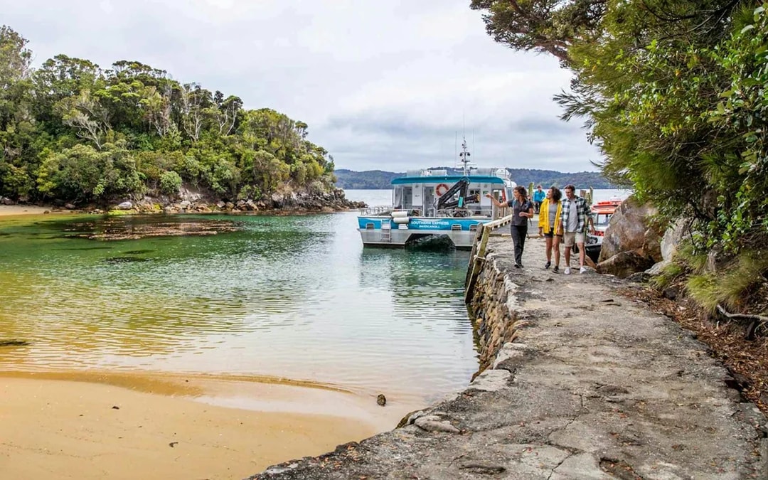 From Stewart Island: Ulva Island Explorer Tour with Paterson Inlet Cruise Image 1