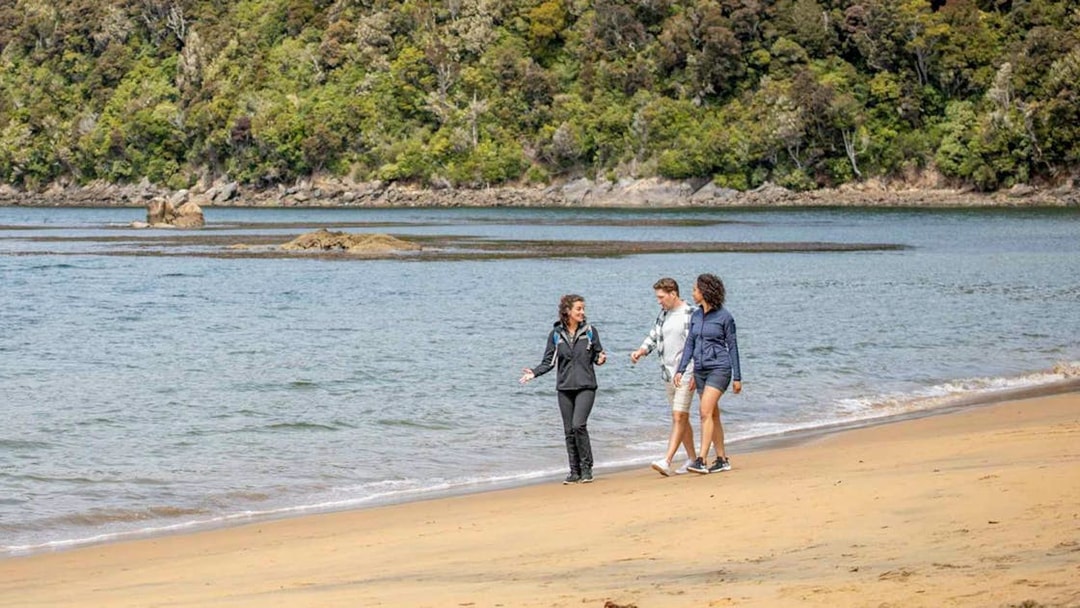 Visitors walking along the beach on Ulva Island with forested backdrop.
