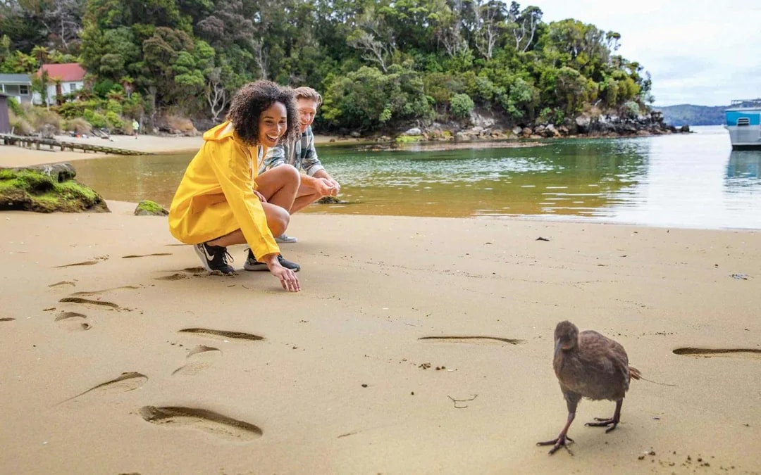 From Stewart Island: Ulva Island Explorer Tour with Paterson Inlet Cruise Image 3