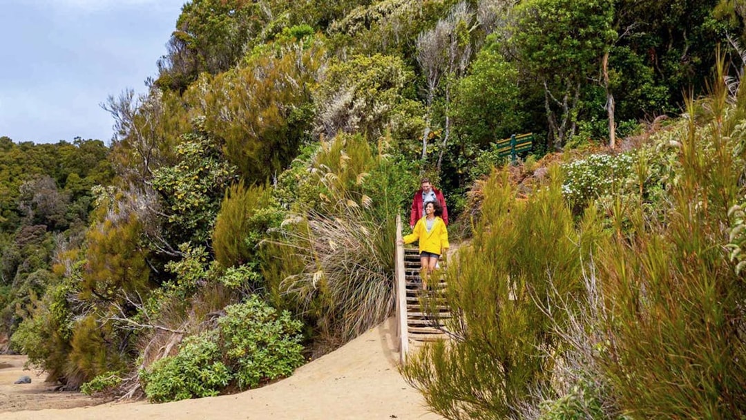 Tourists descending wooden stairs through lush greenery to reach the beach.