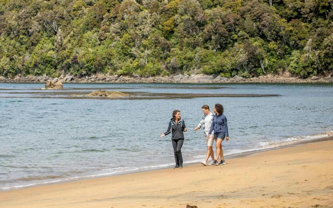 From Stewart Island: Ulva Island Explorer Tour with Paterson Inlet Cruise Image 4