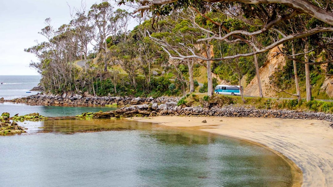Stewart Island coastal road with tour bus near sandy bay and lush trees.