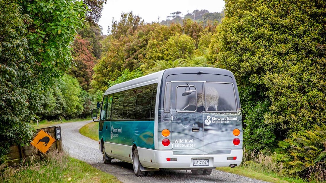 Tour bus on a scenic road in Stewart Island, New Zealand, with kiwi crossing sign.