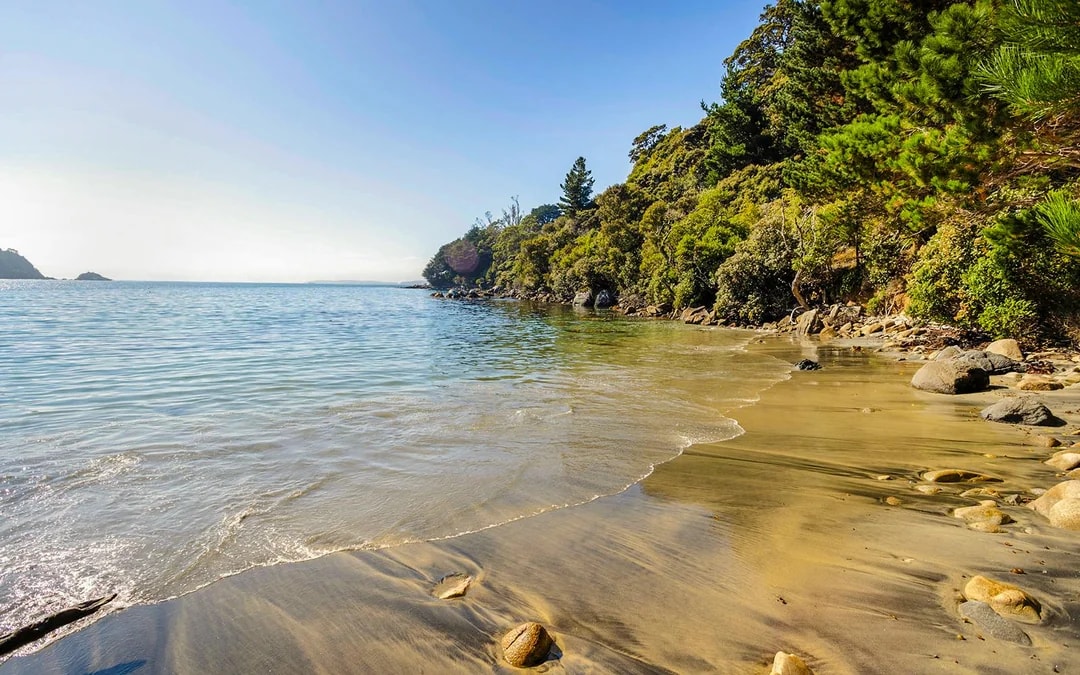 Stewart Island Village & Bays Tour
 Image 8