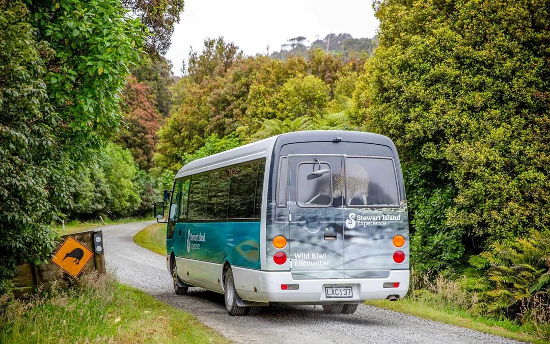 Stewart Island Village & Bays Tour
Image 11