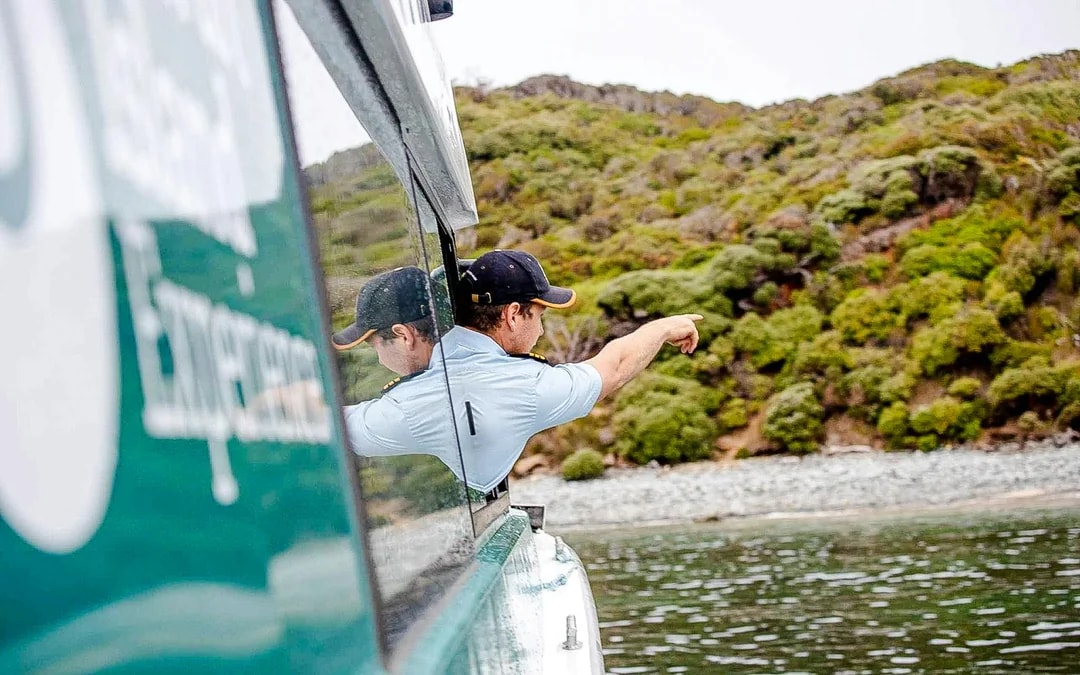 Stewart Island Wild Kiwi Encounter Image 3
