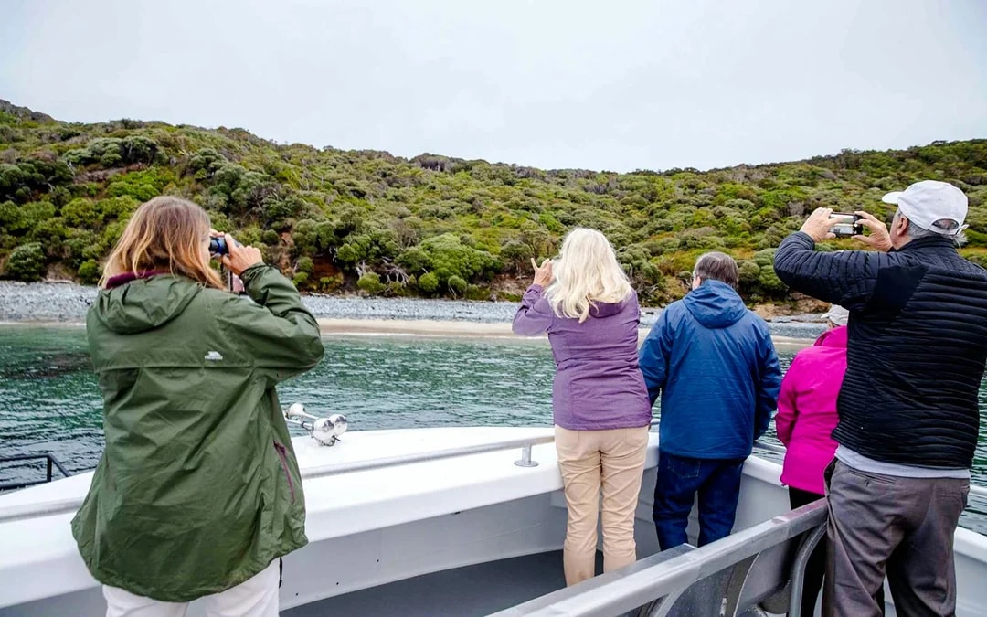 Stewart Island Wild Kiwi Encounter Image 4